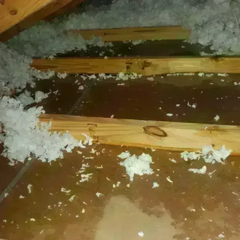 Attic Water Damage in Cheyenne, WY