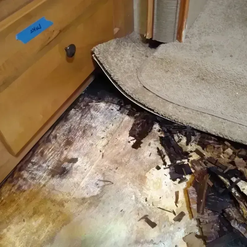 Wood Floor Water Damage in Cheyenne, WY